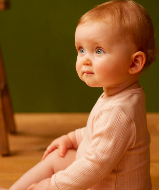 2 pack derby long sleeve bodysuits (NATURAL/ROSE BUD)